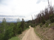 along_the_ridge