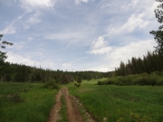 early_meadow