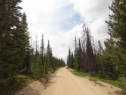 mellow_trail