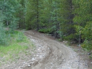 start_of_the_trail