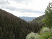 view_at_the_start