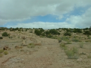 dinosaur_tracks_hike_and_drive