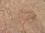 dinosaur_tracks_part_2