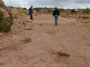 dinosaur_tracks_part_3