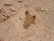 dinosaur_tracks_part_4