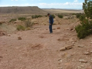 dinosaur_tracks_part_5