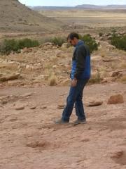 dinosaur_tracks_part_6