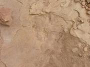 dinosaur_tracks_part_9