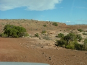 early_trail