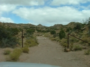 fence_above_dinosaur_tracks