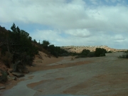 hard-to-find_trail