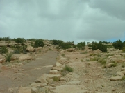 hike_on_left_and_drive_on_right