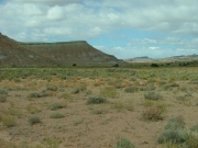 northern_trail