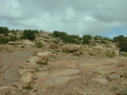 rocky_near_dinosaur_tracks