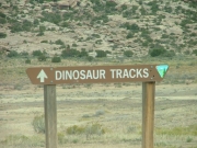 sign_to_dinosaur_tracks