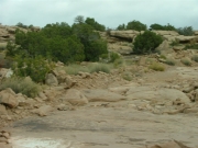 trail_past_the_dinosaur_tracks_part_1
