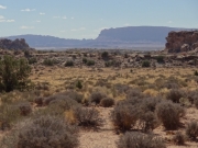 between_bluffs