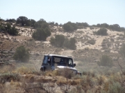 bill_dusty