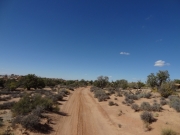 desert_track