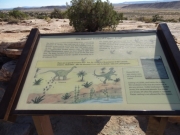 dinosaur_track_sign