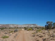 green_bluffs