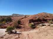 onto_red_dirt