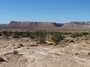 red_bluffs