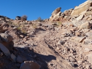 rocks