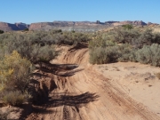 sandy_ditches