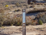 sovereign_loop_sign