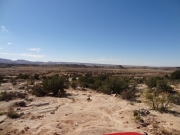 trail_in_the_brush