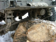 gary_on_a_log_part_2