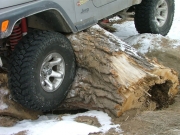 matt_on_a_log_part_3