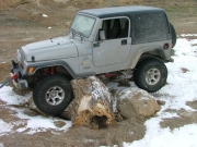 matt_on_a_log_part_4