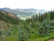 big_view
