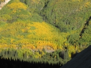 aspen_gold