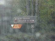 directional_signs