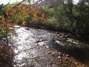 tarryall_crossing_part_1