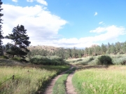 two-track