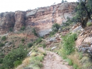 narrow_track