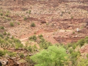 shelf_road