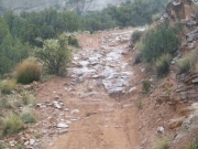 wet_rocks