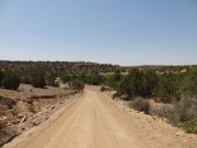 desert