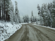 looks_like_winter
