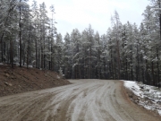 snowy_trees