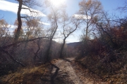 afternoon_shadows