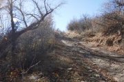 climb_from_the_creek
