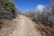 climbing