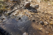cottonwood_creek