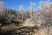 creek_crossing
